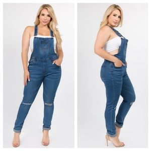 Medium Wash Blue Denim Distressed Overalls